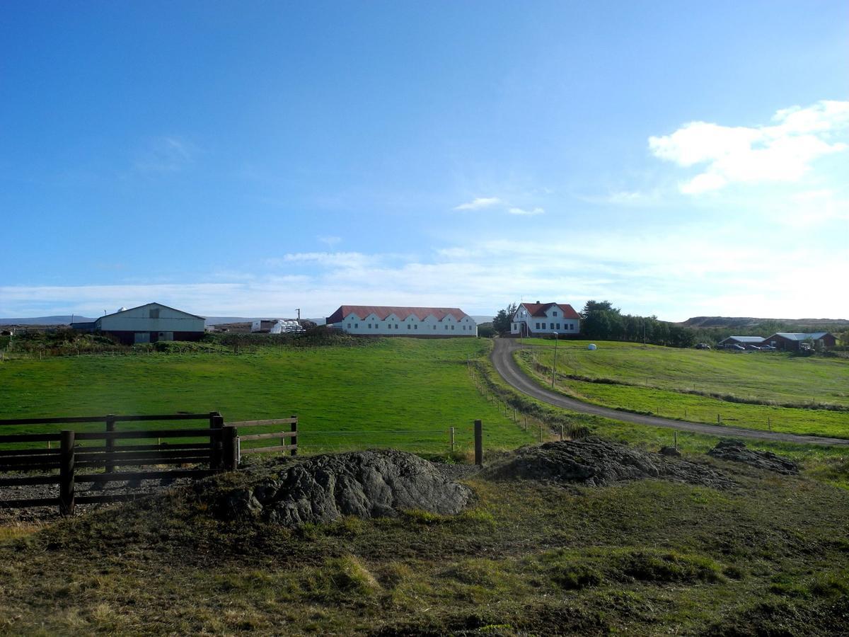Icelandhorsetours - Helluland Saudarkrokur Exteriér fotografie