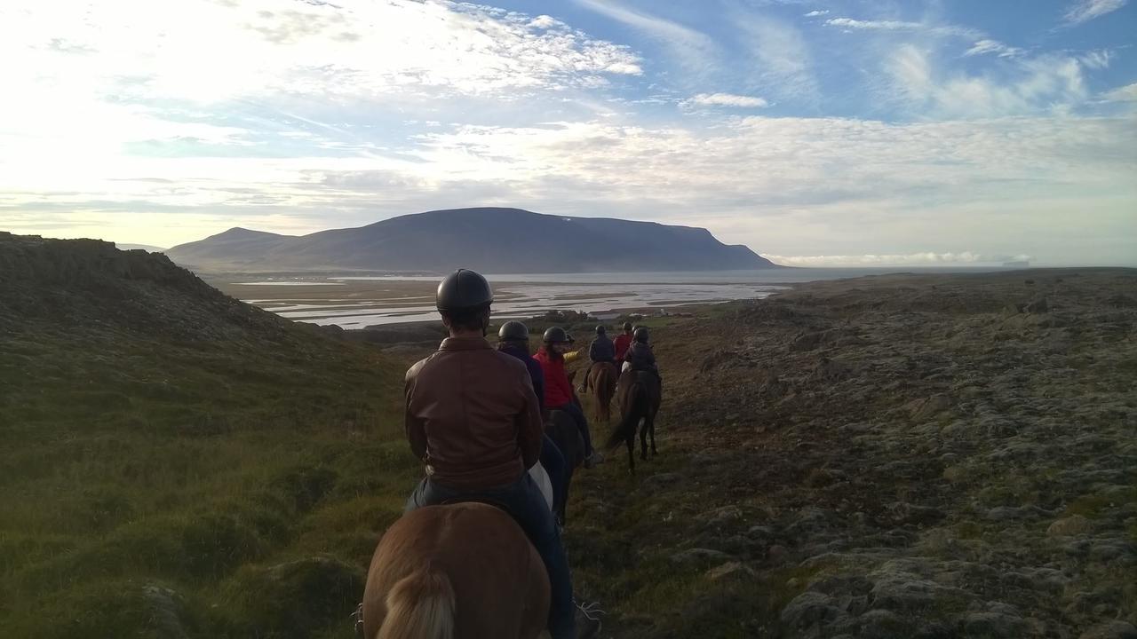 Icelandhorsetours - Helluland Saudarkrokur Exteriér fotografie
